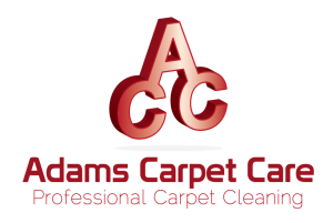 Raleigh Affordable Carpet Cleaning